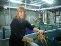 CRIA PULPO  IMAGEN FOTOGRAFIA  64 